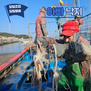 아빠낙지 싱싱한 살아있는 목포낙지 신안낙지 활낙지 산낙지 뻘낙지 당일발송, 특대낙지300g내외, 10마리
