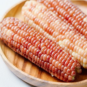 쫀득쫀득 냉동 찰옥수수, 5개, 12cm(대)