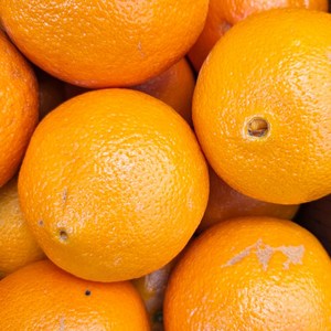 초이스 고당도 네이블 오렌지 중소과 150g내외, 113개