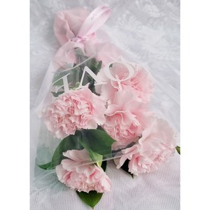 플로라블룸 카네이션 어버이날 스승의날 꽃 한다발 생화 꽃배달 택배, 빨강카네이션, 1개