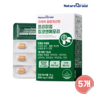 네이처그랜드 프리미엄 징코앤메모리 혈행개선 기억력개선 은행잎추출물 500mgx30정, 5개, 30정