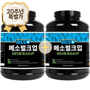 메소벌크업 3.2kg 2개 탄수화물 살찌는 벌크업 체중증가 칼로리 동물성 식물성 단백질 헬스보충제 프로틴 wpc 유청단백질 가루 건강 선물