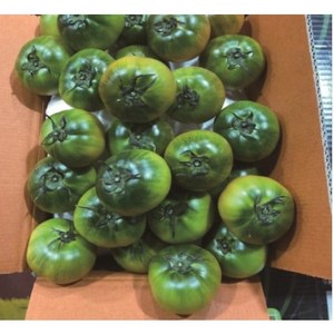 프리미엄 당일수확 산지직송 부산 대저동 단짠 토마토 2.5kg 과일 짭짜리 2S사이즈, 2.5kg(2L, 특상품), 1개