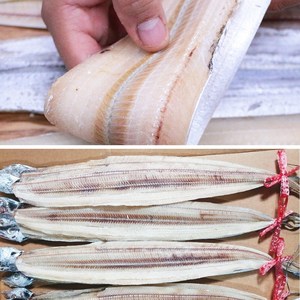 산지직송 구룡포 갈치 싱싱한 반건조 풀치 16미, 1개