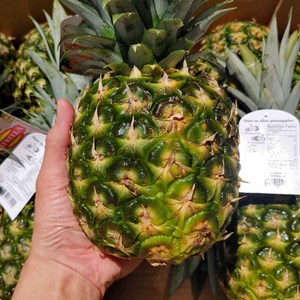 허니 미니 파인애플 (개당 약1.1kg), 1.1kg, 10개