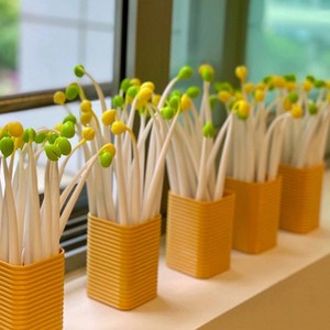 야오야오 다빈 콩나물볼펜(노랑콩나물/익은거)볼펜심 인쇄 판촉 신기한 검정 실리콘 잘써지는 부드러운, 1개, 노랑콩나물(익은거)