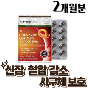 신장에 좋은 영양제 약 두달분 콜레스테롤 낮추는 혈압에 좋은 영양제, 60캡슐, 500mg, 1개