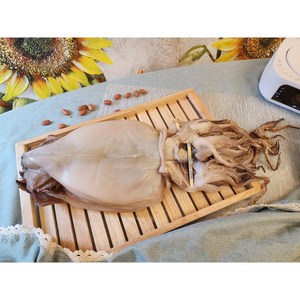 [웅이네] 국산 반건조 피데기 동해 오징어 특대 5미 750g 850g 호프 프리미엄, 특대 5마리(850g 내외), 1개