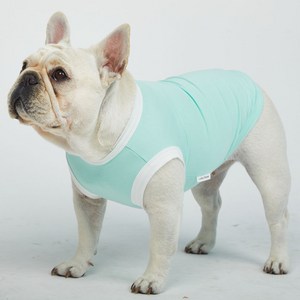 럭키페터 컬러링거 대형견 민소매 소형견 강아지 나시 웰시코기옷 닥스훈트옷 프렌치불독옷, 민트 + 화이트, 1개