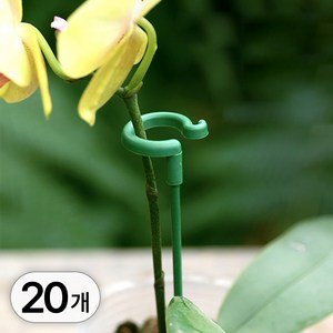 투데이리빙 20개입 세트 식물 고리 지지대 58cm 화분 화초 꽃 넝쿨 고리형 고정 텃밭 원예용 오링 고정대 원형 지주대, 20개