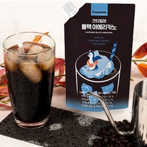 동서웰빙 칸타빌레 대용량 블랙아메리카노 아이스 액상 커피 음료 1+1, 1L, 2개