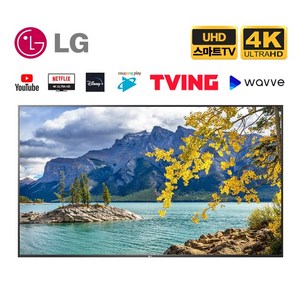 LG전자 50인치(127cm) 울트라HD 4K 스마트 LED TV 50UP8000 넷플릭스 유튜브, 지방스탠드설치, 50인치 TV