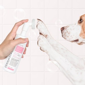 더마벳 약산성 각질 및 보습 케어 워터리스 풋샴푸, 1개, 150ml