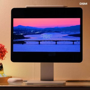 DSM 아이패드 높이조절 마그네틱 거치대, M사이즈_iPadPro12.9(3.4.5세대)