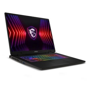 MSI 소드17 HX B14VGKG-I9 QHD i9 32GB SSD1TB RTX4070, Free DOS, 64GB, 1TB, 그레이