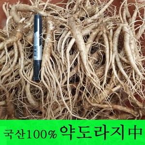 [금산도라지] 직접재배한 약도라지1kg 생도라지 *국산100%* 약도라지구매