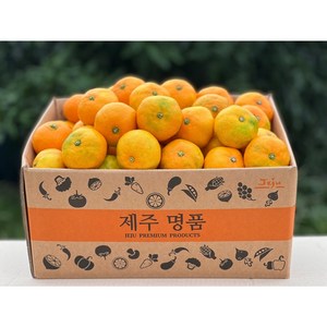 서귀포 노지 감귤 100% 당도선별 제주감귤 강력추천, 노지감귤, 5Kg 2L
