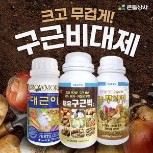 구근비대제 뿌리커 대근이 구근빅 크고 무겁게 비대제 인기제품, 구근빅 500ml, 500ml