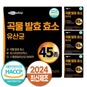 자연속 하루 효소 곡물 발효 효소 유산균 45종, 90g, 4개