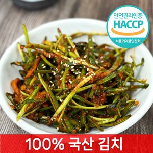 [전라도찐맛] 당일제조 부추김치, 1개, 1kg