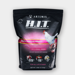 [아르테미스] H.I.T 강아지사료 치킨&랍스터 1kg 작은입자 피부&알러지 6Free, 1개