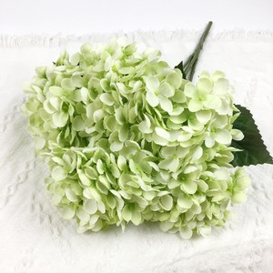 반데어 프렌치 플라워 수국 조화 꽃다발, 라이트그린