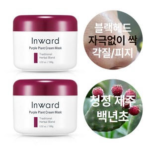 인워드 퍼플 플랜트 크림 마스크 머드 각질 모공팩 100g, 2개, 1개입