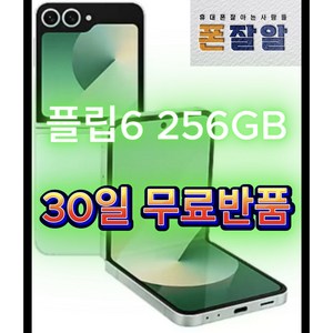 폰잘알 플립6 256GB SM-F741 공기계, [선물용등급]색상랜덤