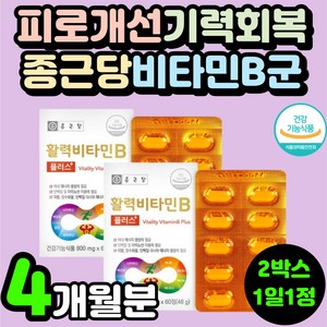 부모님 활력 종근당 비타민 B군 비군 노인 고함량 판토텐산 육체 피로 개선 기력 회복 B8종 니아신 30대 남자 여자 B6 B9 B12 피곤할때 영양제 추천 40대 남성 여성 중년, 2개, 60정
