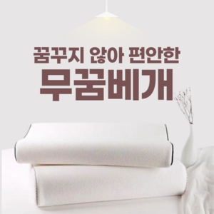 목디스크베개 경추 목에 좋은 숙면 기능성 베개 L 사이즈 커버 포함, 1개