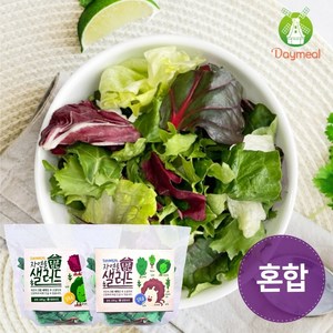 데이밀 자연을담은 샐러드 실속 혼합구성 100g 국내산 야채믹스, 드레싱없음, 7개