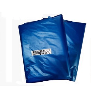부국비닐봉투 일자형 재활용평판봉투 50리터 청색 100매, 1개, 50L