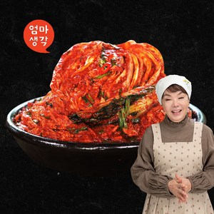 김수미 프리미엄 전라도 재래식 포기김치, 10kg, 1개