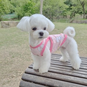 펫라이엇 1+1 강아지옷 고양이옷 봄 여름 리넨 나시 티셔츠 실내복 외출복 S-XL, 세트09_파인애플+벚꽃