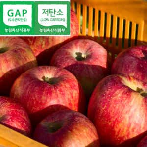 [GAP인증백화점납품용] 고당도 부사 사과, 1박스, 5kg(로얄)