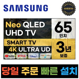 삼성 65인치 크리스탈 4K UHD 스마트 Neo QLED TV 65QN85, E.지방벽걸이