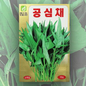 공심채씨앗 10g 모닝글로리씨 모닝글로리씨앗 한국대농종묘 씨앗 종자, 1개
