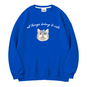 더팀 캣페이스 남여공용 오버핏 특양면 맨투맨 (4컬러)