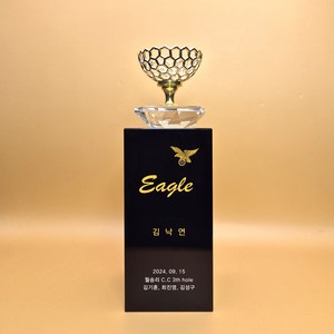 상패팡팡 홀인원패 싱글패 이글패 골프트로피 003 골드 골프모션 금속 골프스윙모습 이븐파 언더파 골프대회 주문제작 신제품 트로피공장 트로피제작, 선택1-20, 1개