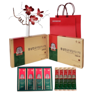 정관장 6년근 홍삼스틱 홍삼진고 데일리스틱 20포 2박스 + 쇼핑백 2장 [선물세트], 20회분