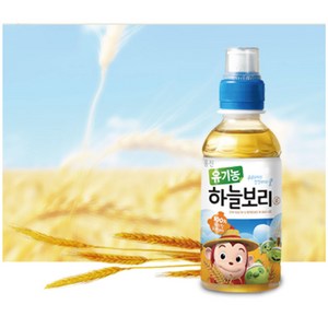 웅진 유기농 하늘보리차, 보리차, 200ml, 24개