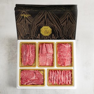 우마왕 한우 1++ No9 하이엔드 구이용 명품 백화점 횡성 선물세트 (냉장), 2kg, (오복)등심+채끝+살치+갈비살+부채살