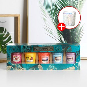 양키캔들 파라다이스 보티브 향초 5종 선물세트 + 모자이크 홀더, 04 보라