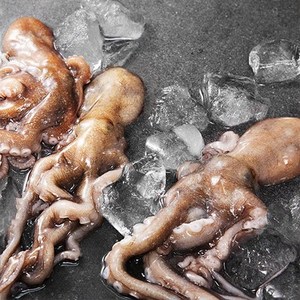 [순이네마켓] 국내산 100% 타우린 풍부한 서해 뻘낙지, 3kg, 1개