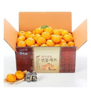 올탑농원 제주 노지감귤 실중량 9kg 중대과, 1개
