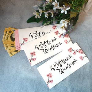 캘리그라피 용돈봉투 돈 예쁜 생일 칠순 환갑 팔순 구순 현금 축의금 경조사 결혼 축하 감사 돈봉투 편지 예단비 봉투, 3개
