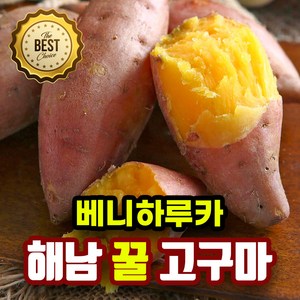 베니하루카 해남 꿀고구마 고당도 정품 꿀 고구마, 1개, 5kg(중상)
