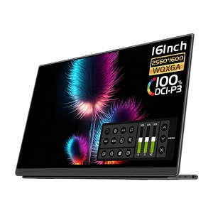 EHOMEWEI 이홈웨이 포터블모니터 Portable monitor 휴대용모니터 서브모니터 2.5K IPS QLED 100%DCI-P3 16인치 맥OS 덱스 게임콘솔 미니PC, E16Q1, 40.64cm