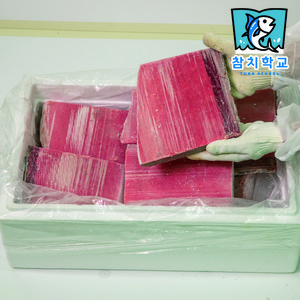 참치학교 업소용 참치회 도매 참다랑어 적신 10kg, 1개