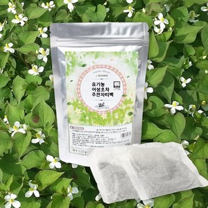 참건강마을 (유기농) 어성초차 주전자 50g 10티백 X 4팩, 10개입, 4개